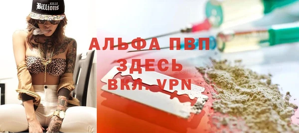 шишки Алзамай