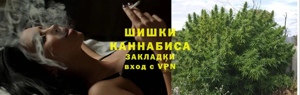 шишки Алзамай
