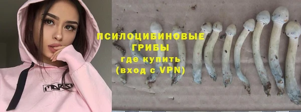 ALPHA-PVP Алексин