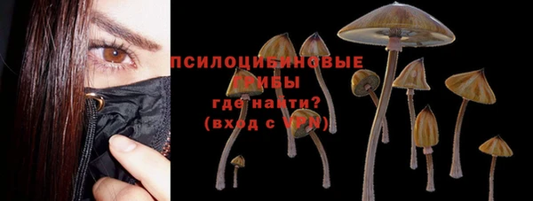 ALPHA-PVP Алексин