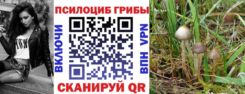 Псилоцибиновые грибы GOLDEN TEACHER  mega ссылки  Макушино  где купить наркоту 